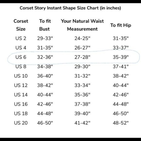 Corset Story Silver Glitter Steel Boned Corset - Picture 5 of 10